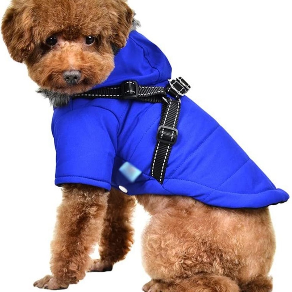 GORGEOUS WINTER ❄️ PARKA FOR SMALL DOG